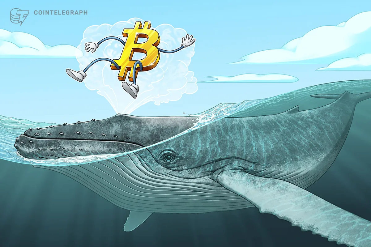 Crypto Whales Add Bitcoin, Ether and XRP During Market Weakness, CryptoQuant Says